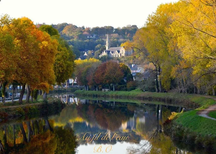 Le Clos Des Agapanthes
