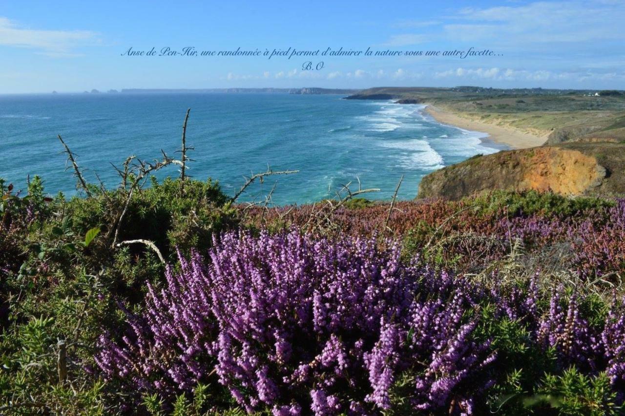 Le Clos Des Agapanthes * Plogonnec