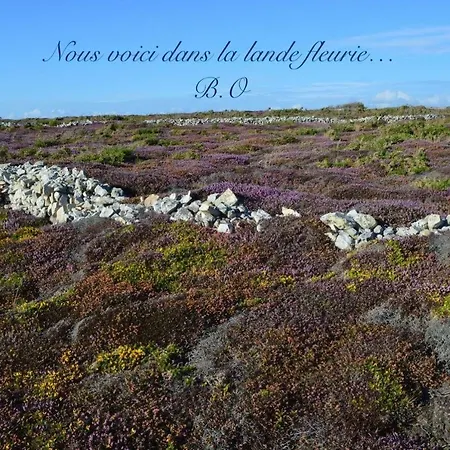 Le Clos des Agapanthes Plogonnec Extérieur photo
