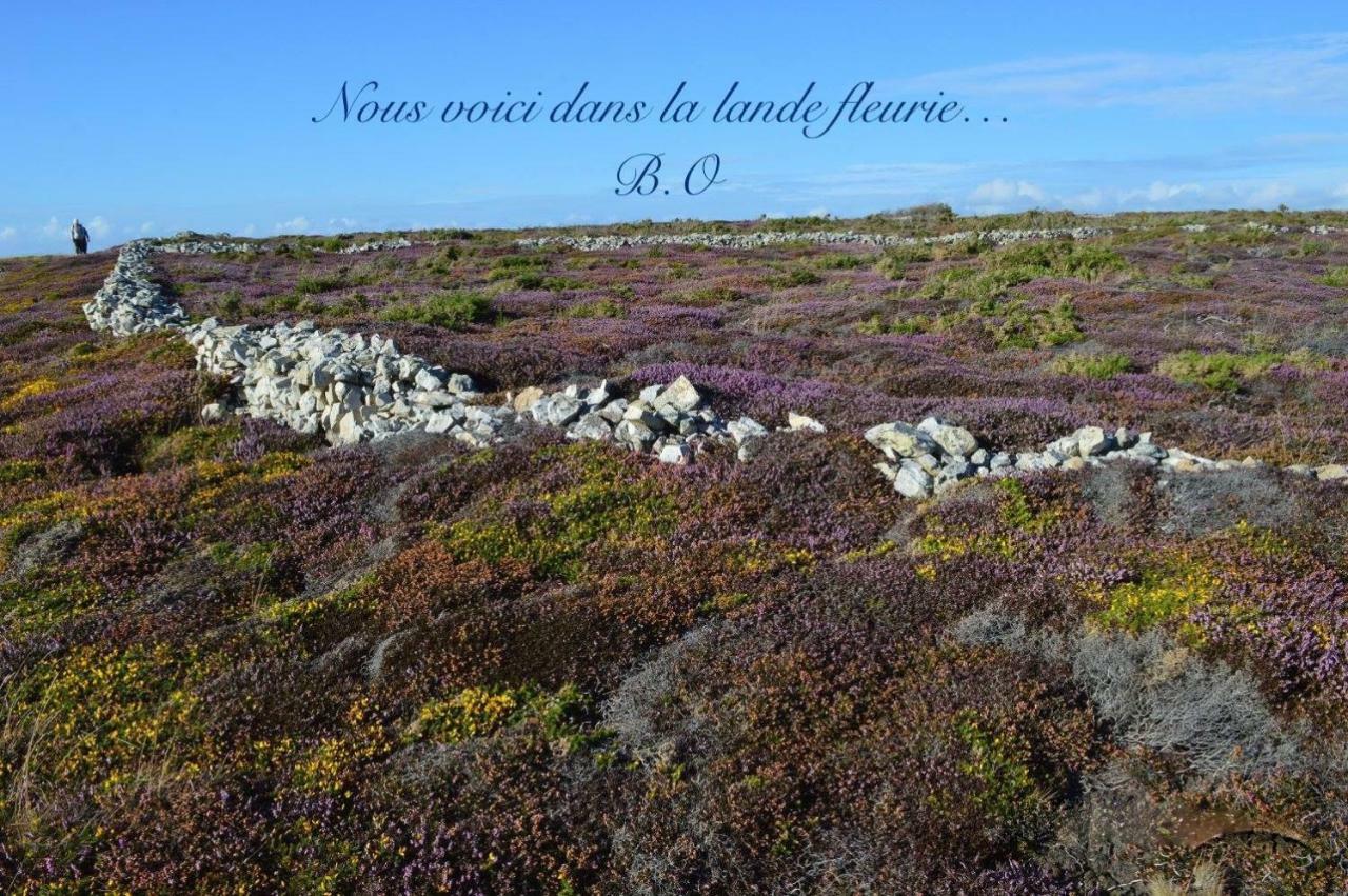 Hébergement de vacances Le Clos Des Agapanthes *