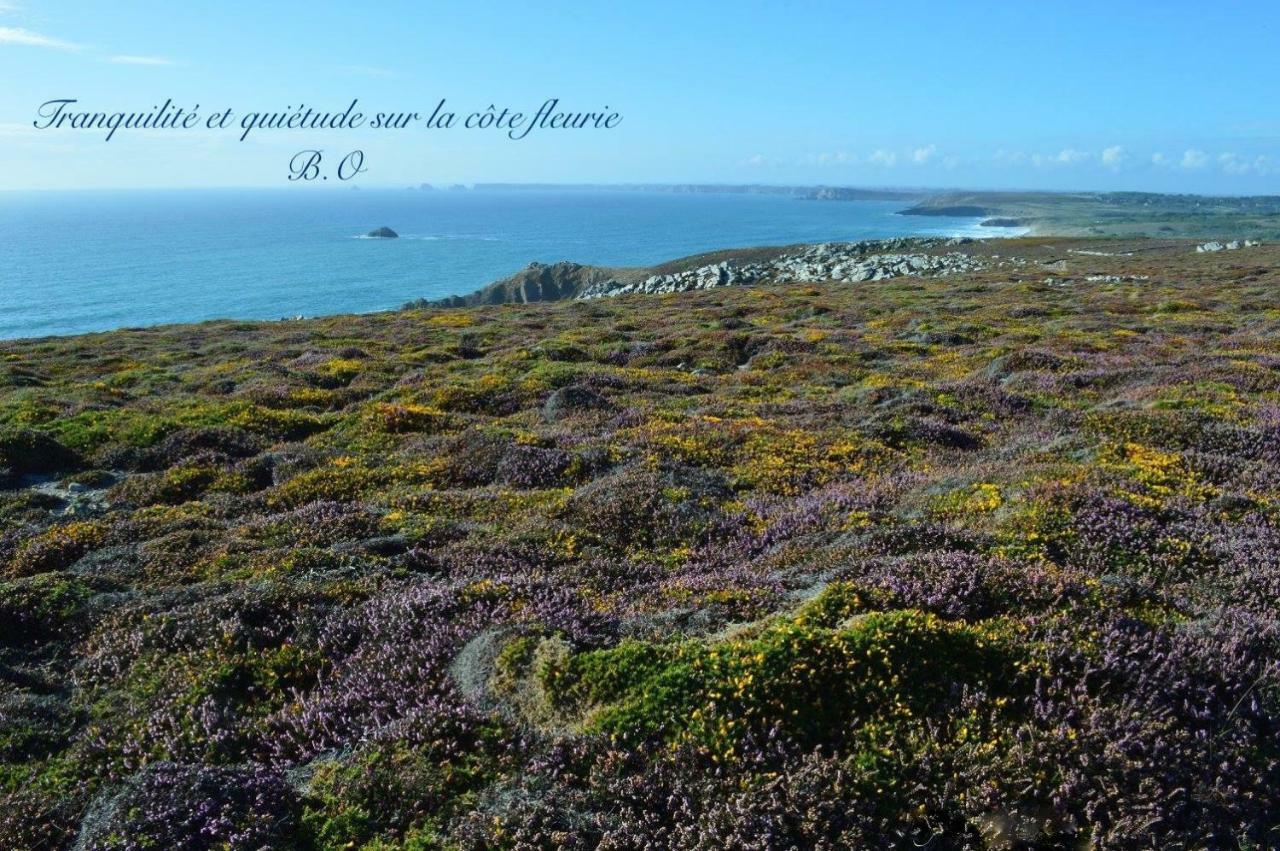Le Clos Des Agapanthes Plogonnec