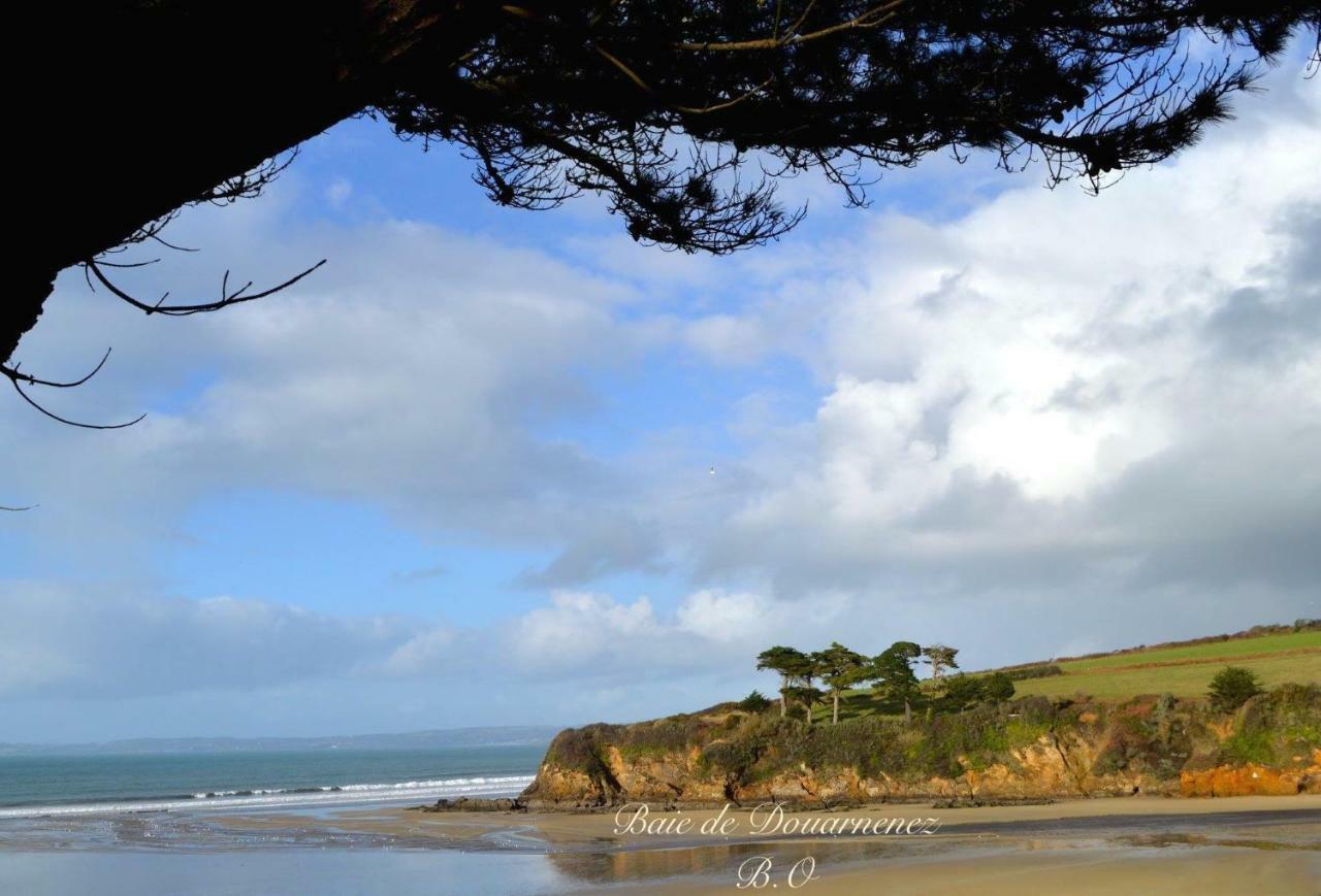 Vakantiehuis Le Clos Des Agapanthes Plogonnec